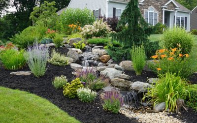 Be Creative in the Dead of Winter-Let’s bring your landscaping ideas to life!
