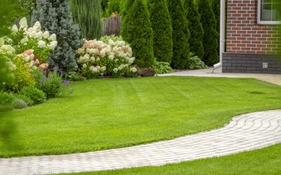Do You Have a Vision For Your Yard?